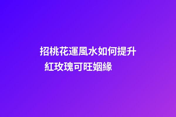 招桃花運風水如何提升  紅玫瑰可旺姻緣